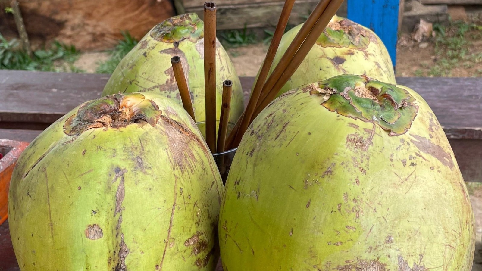 buy coconut in wae lolos village