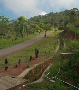 WhatsApp Image 2025 10 14 at 15.21.11 da572a01 1