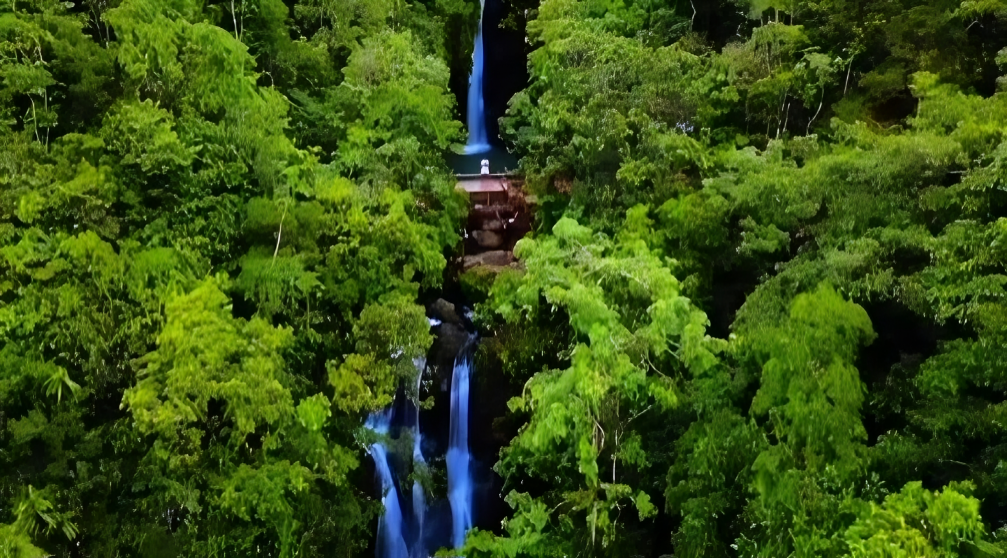 WhatsApp Image 2026 02 19 at 07.20.581