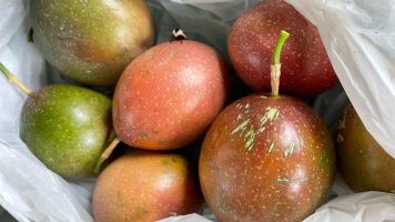 buy passion fruit at wae lolos